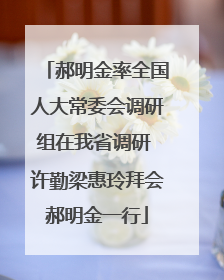郝明金率全国人大常委会调研组在我省调研 许勤梁惠玲拜会郝明金一行