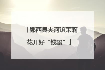 郧西县夹河镇茉莉花开好“钱景”