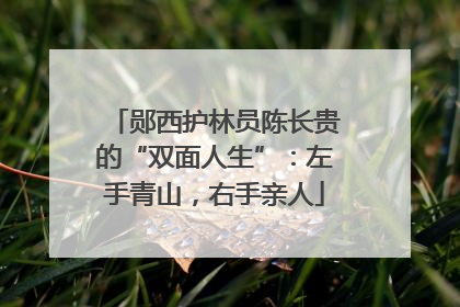 郧西护林员陈长贵的“双面人生”：左手青山，右手亲人