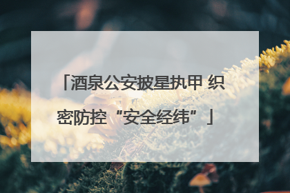 酒泉公安披星执甲 织密防控“安全经纬”
