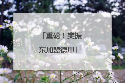 重磅！樊振东加盟德甲