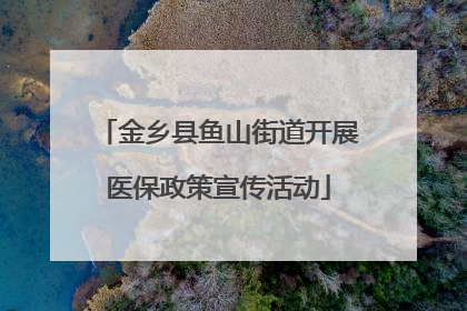 金乡县鱼山街道开展医保政策宣传活动