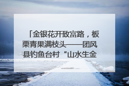 金银花开致富路，板栗青果满枝头——团风县钓鱼台村“山水生金”谱写共富新篇章
