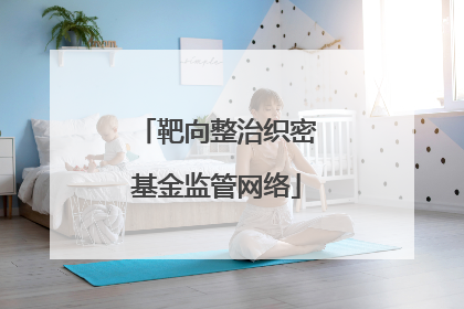 靶向整治织密基金监管网络