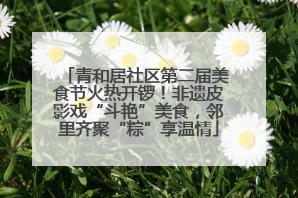 青和居社区第二届美食节火热开锣！非遗皮影戏“斗艳”美食，邻里齐聚“粽”享温情