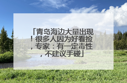 青岛海边大量出现！很多人因为好看捡，专家：有一定毒性，不建议手碰