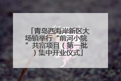 青岛西海岸新区大场镇举行“前河小院”共富项目（第一批）集中开业仪式