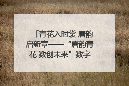 青花入时裳 唐韵启新章——“唐韵青花 数创未来”数字文创设计大赛启幕