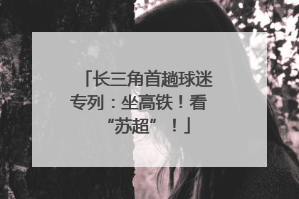 长三角首趟球迷专列：坐高铁！看“苏超”！