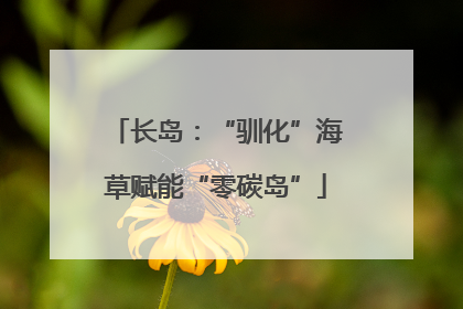 长岛：“驯化”海草赋能“零碳岛”