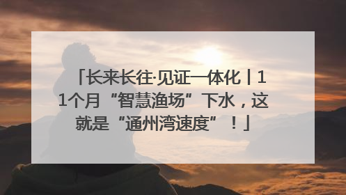 长来长往·见证一体化丨11个月“智慧渔场”下水，这就是“通州湾速度”！