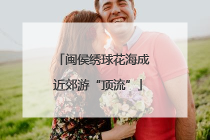 闽侯绣球花海成近郊游“顶流”
