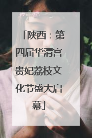 陕西：第四届华清宫贵妃荔枝文化节盛大启幕