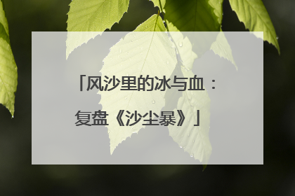 风沙里的冰与血：复盘《沙尘暴》