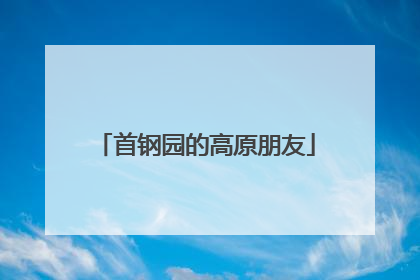 首钢园的高原朋友
