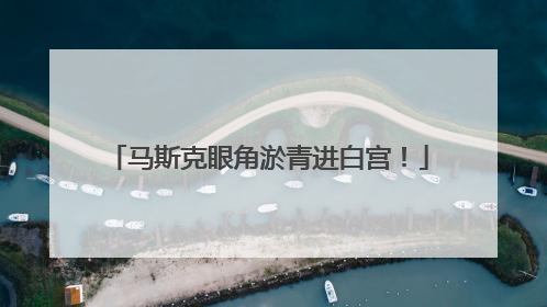 马斯克眼角淤青进白宫！