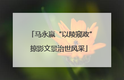 马永嬴“以陵窥政” 掠影文景治世风采
