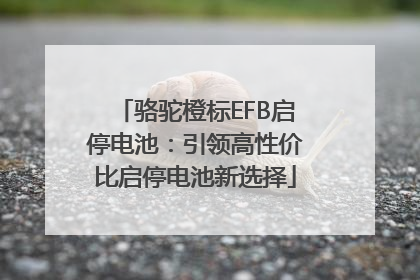 骆驼橙标EFB启停电池：引领高性价比启停电池新选择