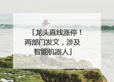龙头直线涨停！两部门发文，涉及智能机器人