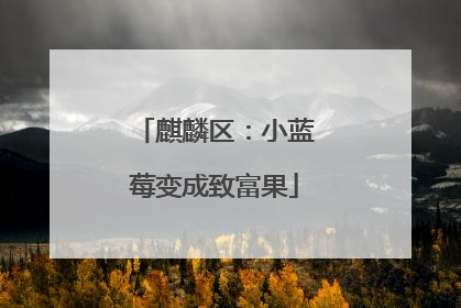 麒麟区：小蓝莓变成致富果
