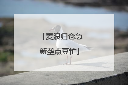 麦浪归仓急 新垄点豆忙