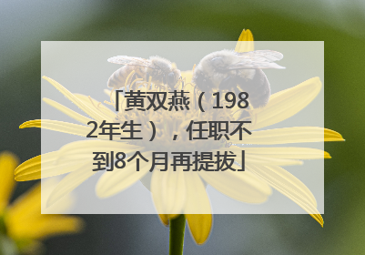 黄双燕（1982年生），任职不到8个月再提拔