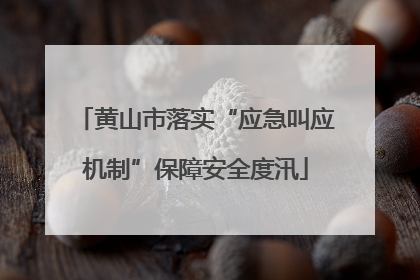 黄山市落实“应急叫应机制”保障安全度汛