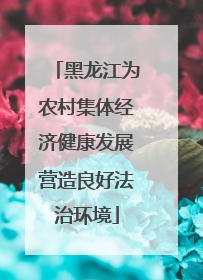 黑龙江为农村集体经济健康发展营造良好法治环境