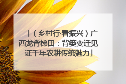 （乡村行·看振兴）广西龙脊梯田：背篓变迁见证千年农耕传统魅力