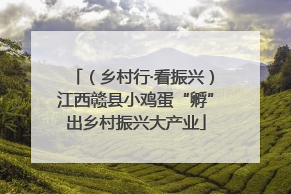 （乡村行·看振兴）江西赣县小鸡蛋“孵”出乡村振兴大产业
