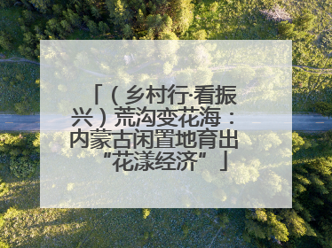 （乡村行·看振兴）荒沟变花海：内蒙古闲置地育出“花漾经济”