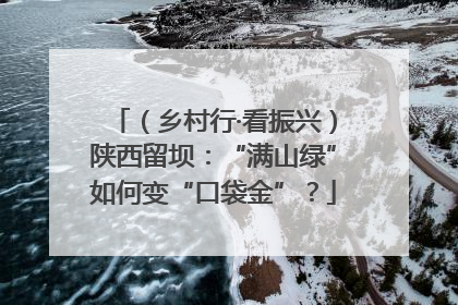（乡村行·看振兴）陕西留坝：“满山绿”如何变“口袋金”？