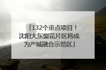 132个重点项目！沈阳大东望花片区将成为产城融合示范区