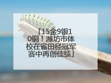 15金9银10铜！潍坊市体校在省田径冠军赛中再创佳绩