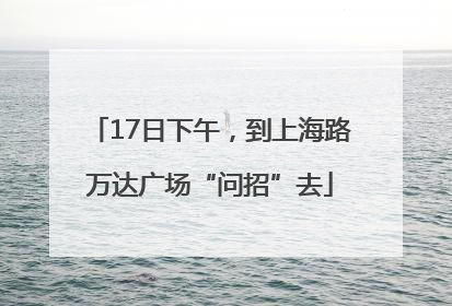17日下午，到上海路万达广场“问招”去