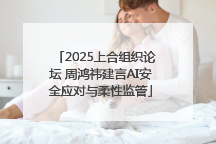 2025上合组织论坛 周鸿祎建言AI安全应对与柔性监管