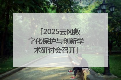 2025云冈数字化保护与创新学术研讨会召开