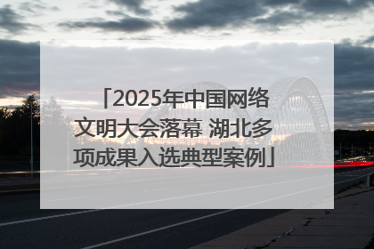 2025年中国网络文明大会落幕 湖北多项成果入选典型案例