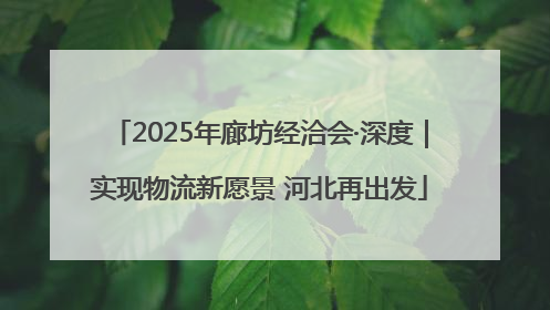 2025年廊坊经洽会·深度｜实现物流新愿景 河北再出发