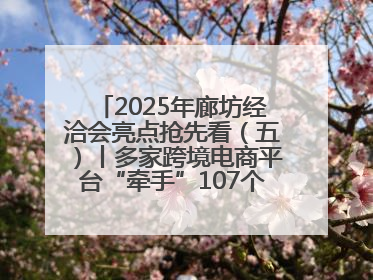 2025年廊坊经洽会亮点抢先看（五）丨多家跨境电商平台“牵手”107个特色产业集群
