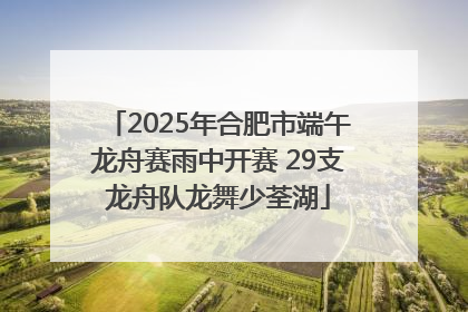 2025年合肥市端午龙舟赛雨中开赛 29支龙舟队龙舞少荃湖