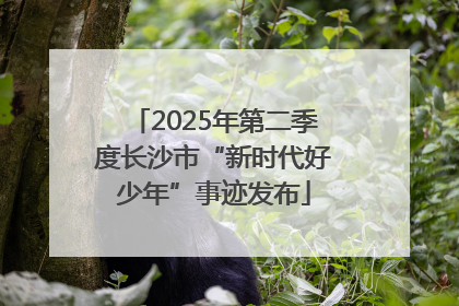 2025年第二季度长沙市“新时代好少年”事迹发布