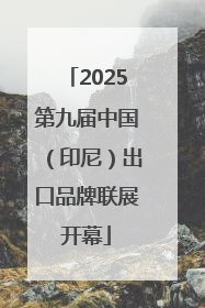 2025第九届中国（印尼）出口品牌联展开幕
