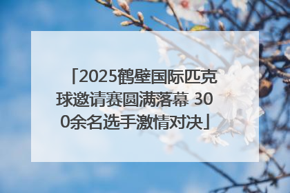 2025鹤壁国际匹克球邀请赛圆满落幕 300余名选手激情对决