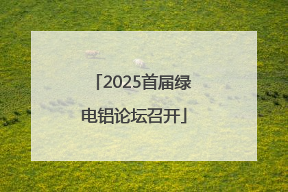 2025首届绿电铝论坛召开