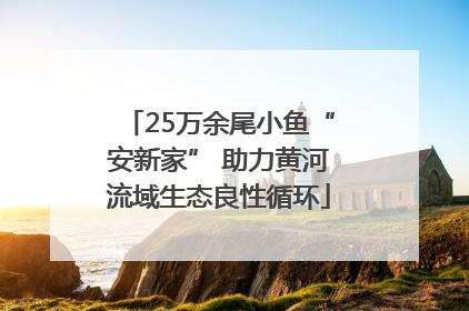 25万余尾小鱼“安新家” 助力黄河流域生态良性循环