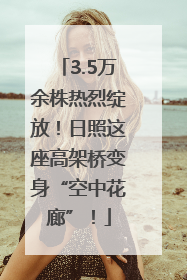 3.5万余株热烈绽放！日照这座高架桥变身“空中花廊”！