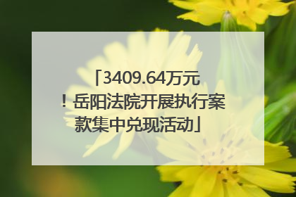 3409.64万元！岳阳法院开展执行案款集中兑现活动