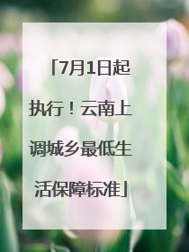7月1日起执行！云南上调城乡最低生活保障标准