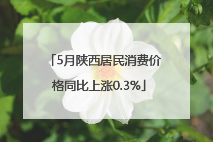 5月陕西居民消费价格同比上涨0.3%